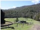 48 Double Crossing Road, Canungra QLD 4275