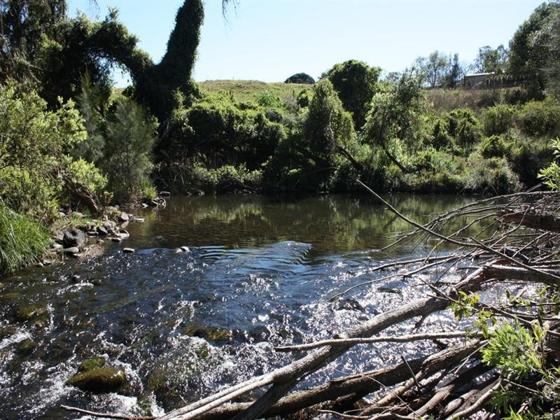48 Double Crossing Road, Canungra QLD 4275