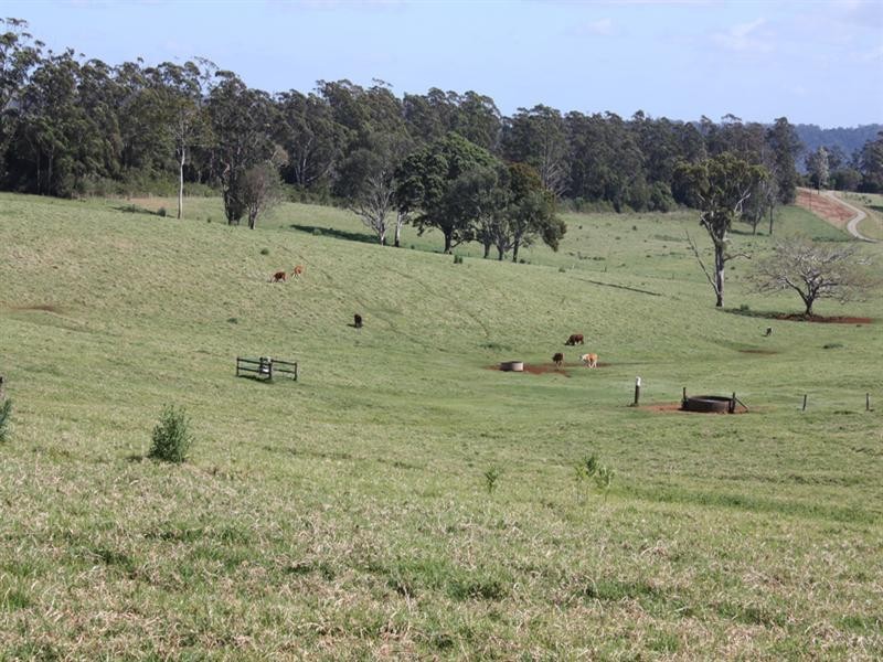 0 Beechmont Road, Beechmont QLD 4211