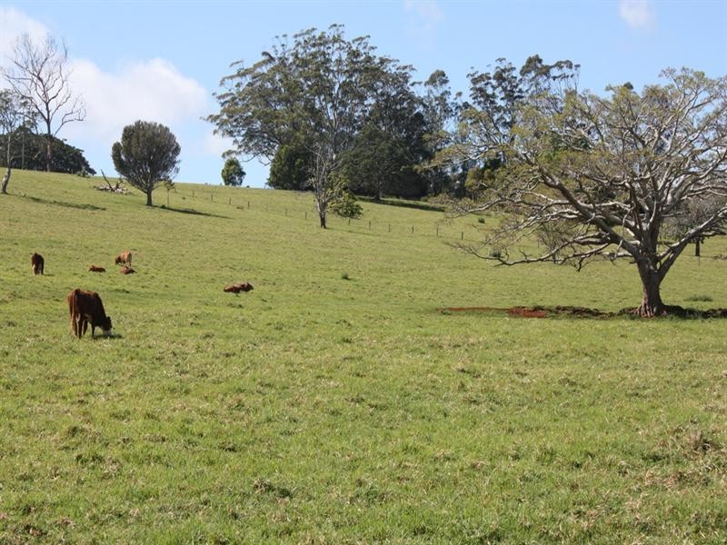 0 Beechmont Road, Beechmont QLD 4211