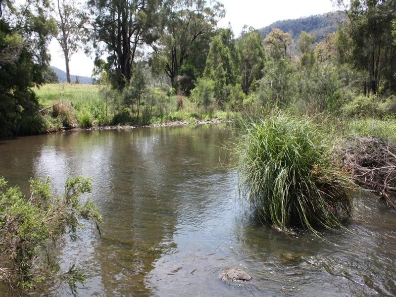 189 Sarabah Road, Canungra QLD 4275