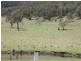 Lot 4, 189 Sarabah Road, Canungra QLD 4275