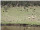 Lot 4, 189 Sarabah Road, Canungra QLD 4275