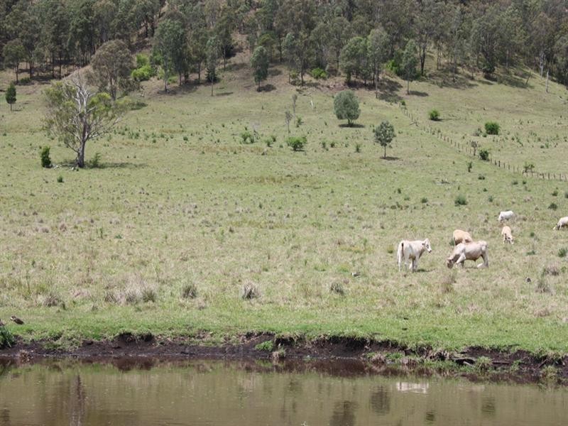 Lot 4, 189 Sarabah Road, Canungra QLD 4275