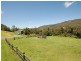 893 Lamington National Park Road, Canungra QLD 4275