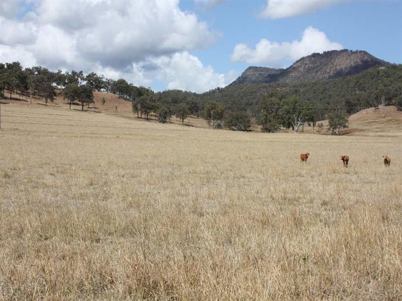 Beaudesert QLD 4285