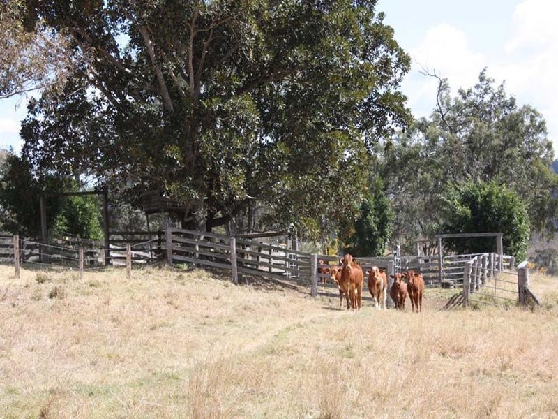 Beaudesert QLD 4285