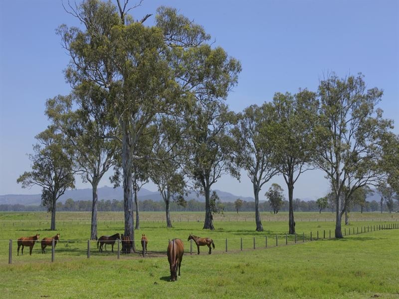 316 Bromelton House Road, Beaudesert QLD 4285