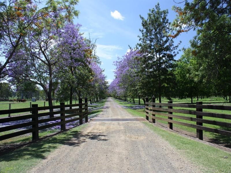 316 Bromelton House Road, Beaudesert QLD 4285