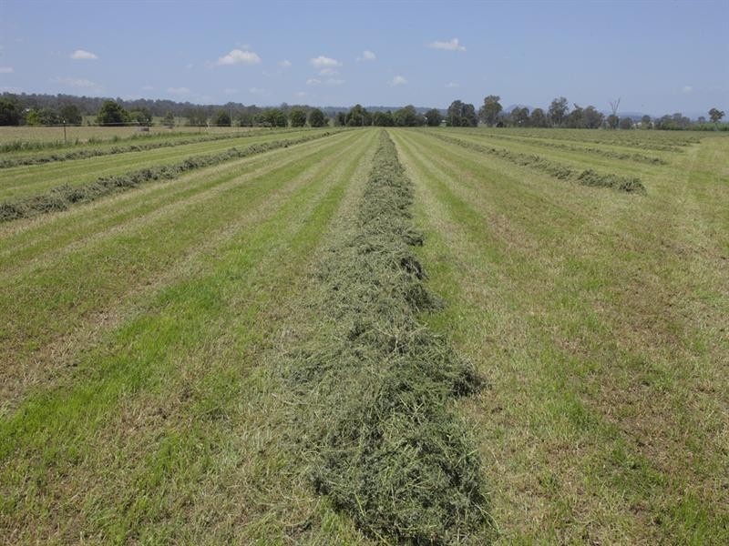 316 Bromelton House Road, Beaudesert QLD 4285