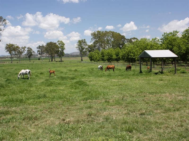 316 Bromelton House Road, Beaudesert QLD 4285