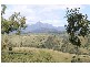 Lot 8 Philp Mountain Road, Rathdowney QLD 4287