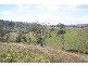 Lot 8 Philp Mountain Road, Rathdowney QLD 4287