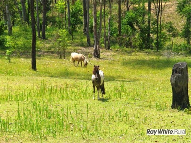 168 Walker Drive, Kooralbyn QLD 4285