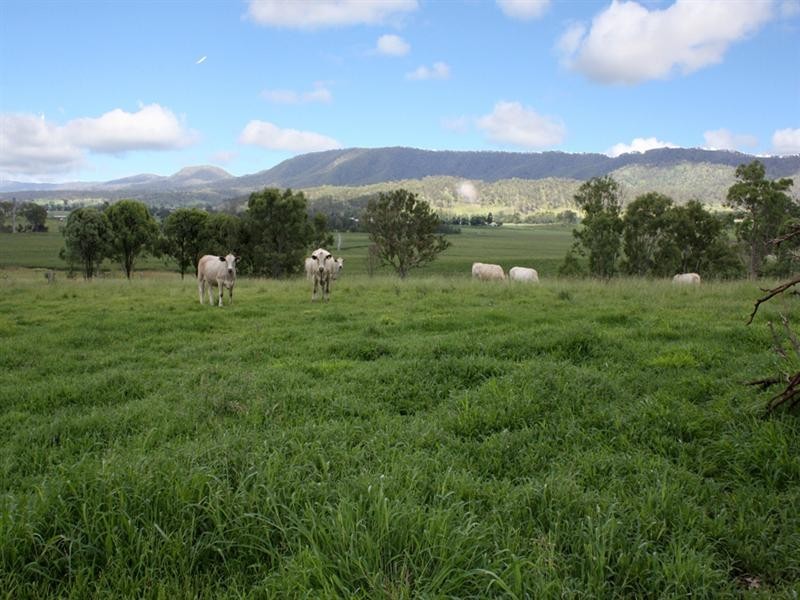 1899 Christmas Creek Road, Beaudesert QLD 4285