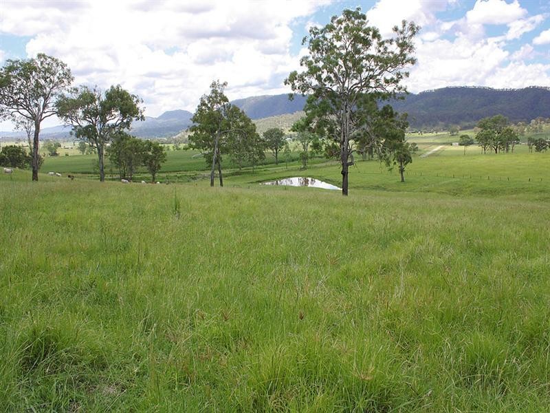 1899 Christmas Creek Road, Beaudesert QLD 4285