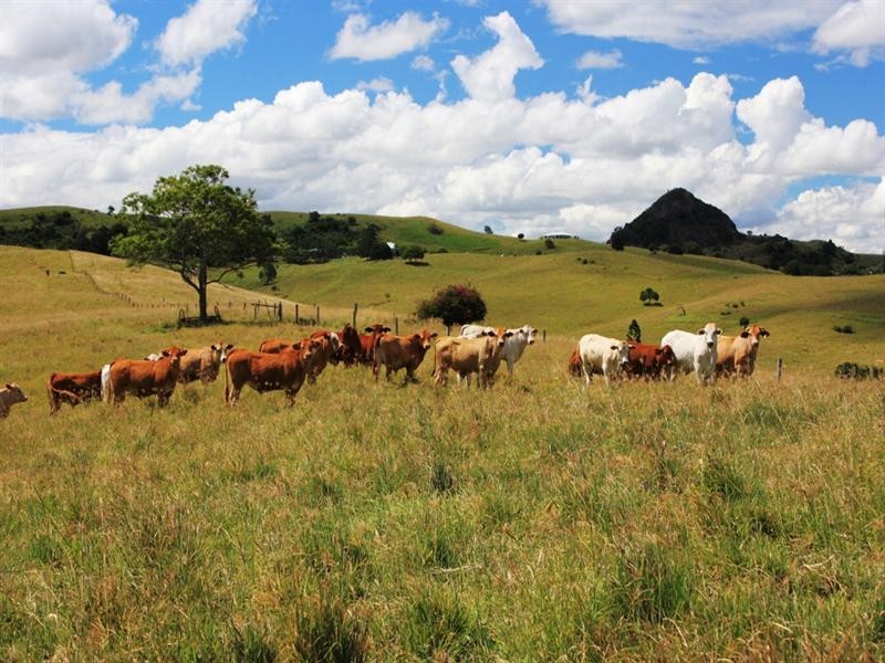 390 Cannon Creek Road, Boonah QLD 4310