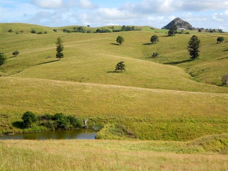 390 Cannon Creek Road, Boonah QLD 4310