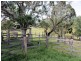 390 Cannon Creek Road, Boonah QLD 4310