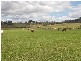 Lot 15 Round Mt Road, Beaudesert QLD 4285