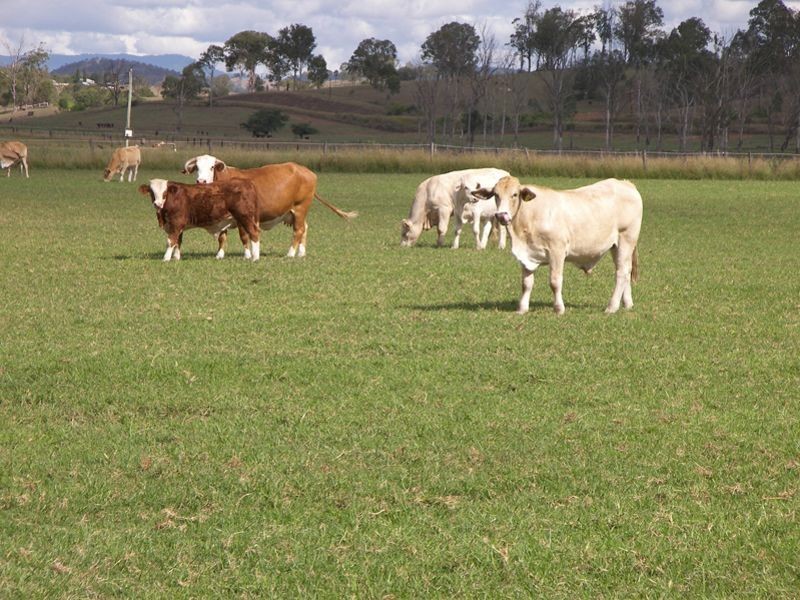 Lot 15 Round Mt Road, Beaudesert QLD 4285