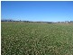 Lot 15 Round Mt Road, Beaudesert QLD 4285