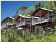 Villa 3 O’Reilly’s Rainforest Retreat, Canungra QLD 4275