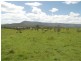 0 Four Mile Lane, Boyland QLD 4275