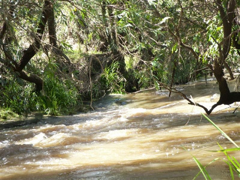 0 Four Mile Lane, Boyland QLD 4275