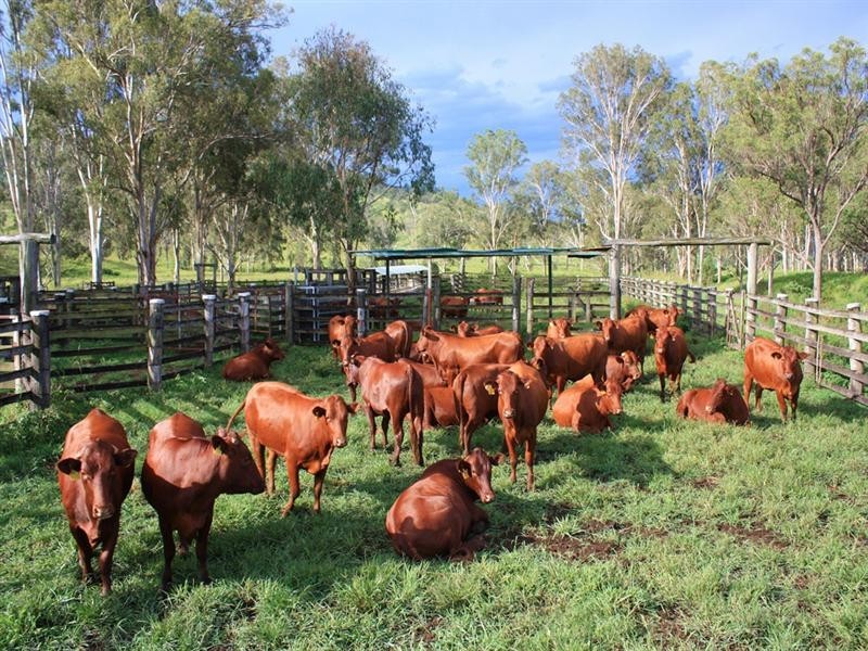 1151 Kerry Road, Beaudesert QLD 4285
