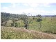 Lot 8 Philp Mountain Road, Rathdowney QLD 4287