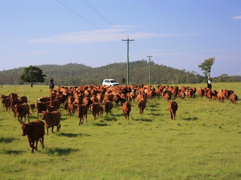 476 Emerys Bridge Road, Gundiah QLD 4650