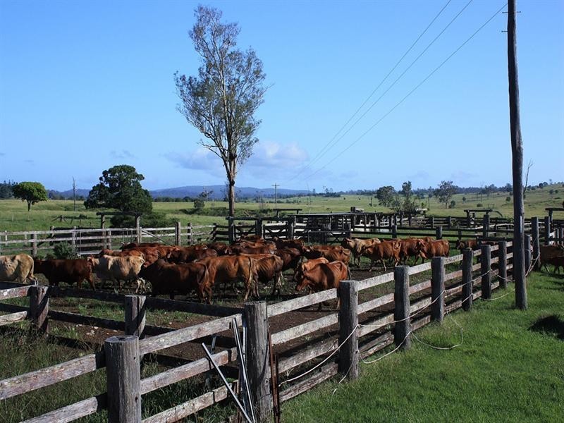 476 Emerys Bridge Road, Gundiah QLD 4650