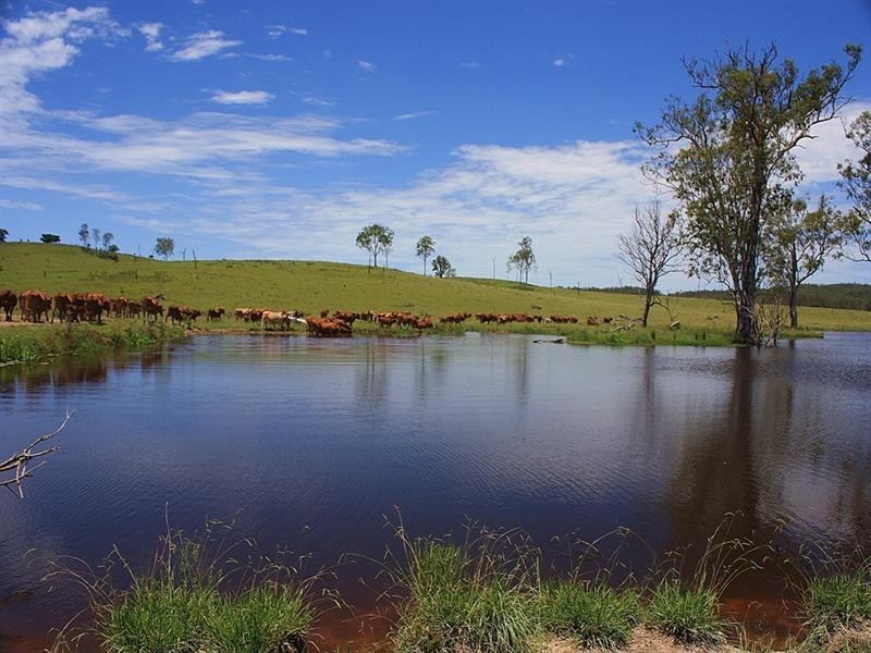 476 Emerys Bridge Road, Gundiah QLD 4650