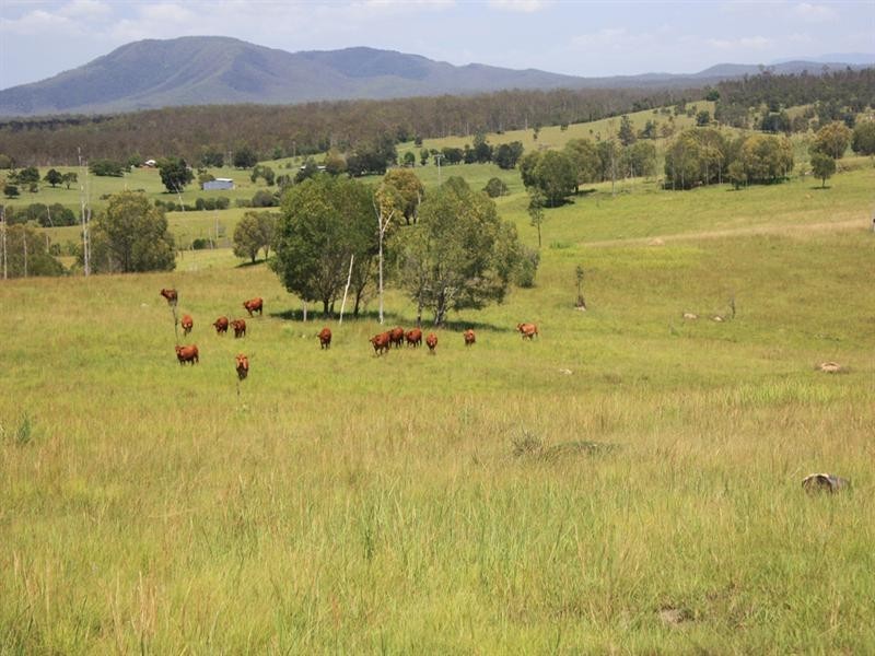 476 Emerys Bridge Road, Gundiah QLD 4650