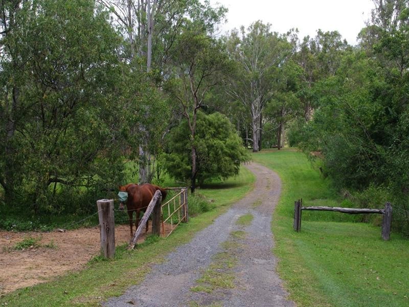 98 Williamson Road, Tamborine QLD 4270