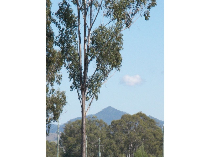 22-24 Carrigan Way, Gleneagle QLD 4285