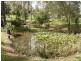 Cedar Vale QLD 4285