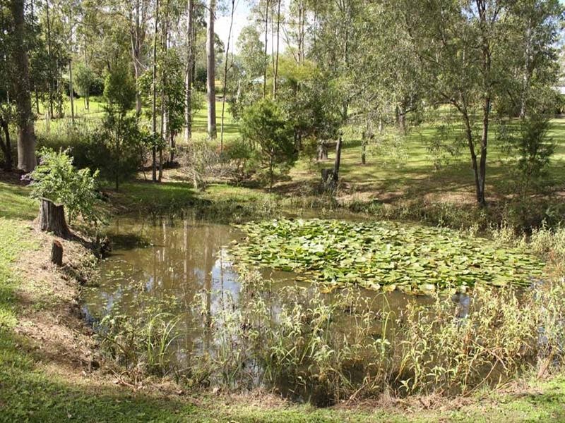 Cedar Vale QLD 4285