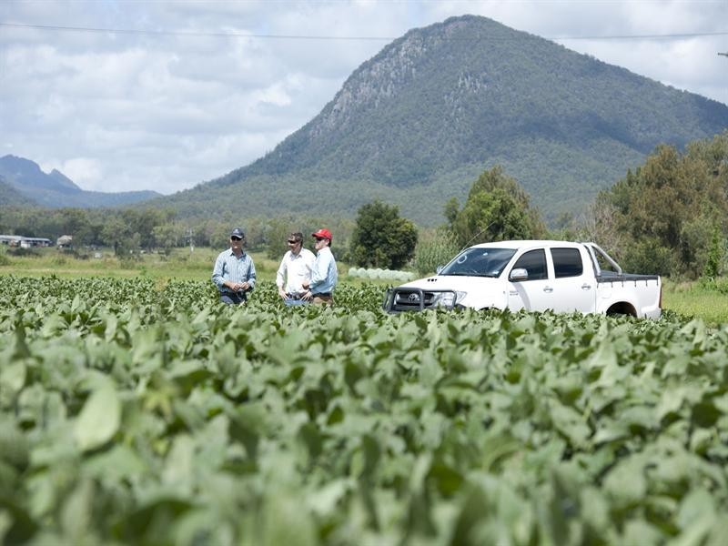 L191and192 East Stallman, Aratula QLD 4309