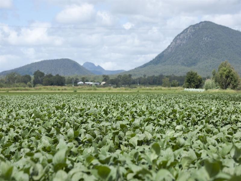 L191and192 East Stallman, Aratula QLD 4309