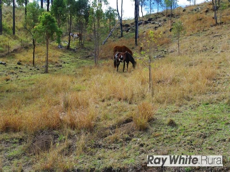 Oaky Creek QLD 4285