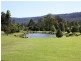 Canungra QLD 4275