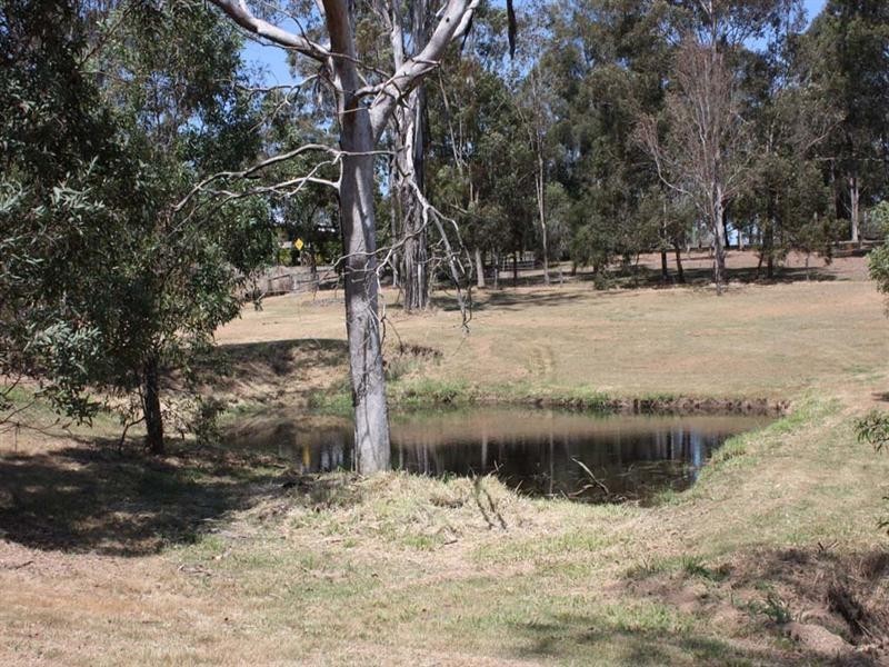 185 Cedar Vale Road, Cedar Vale QLD 4285