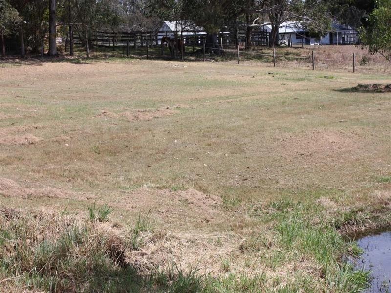 185 Cedar Vale Road, Cedar Vale QLD 4285