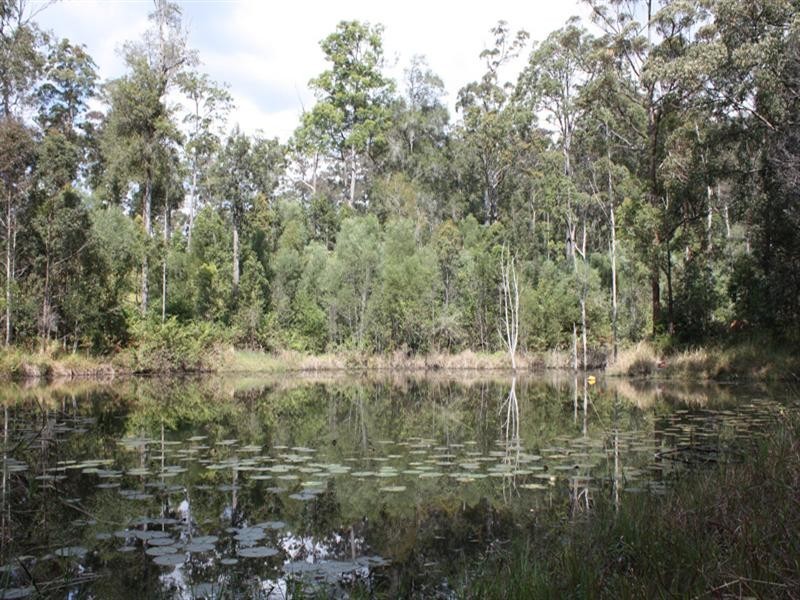 1 Tucker Lane, Canungra QLD 4275