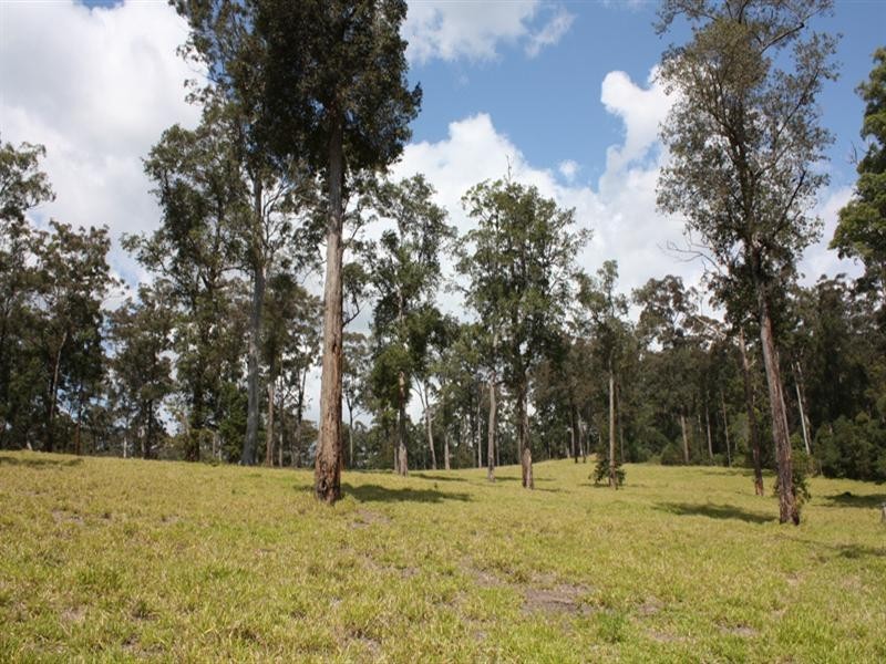 1 Tucker Lane, Canungra QLD 4275