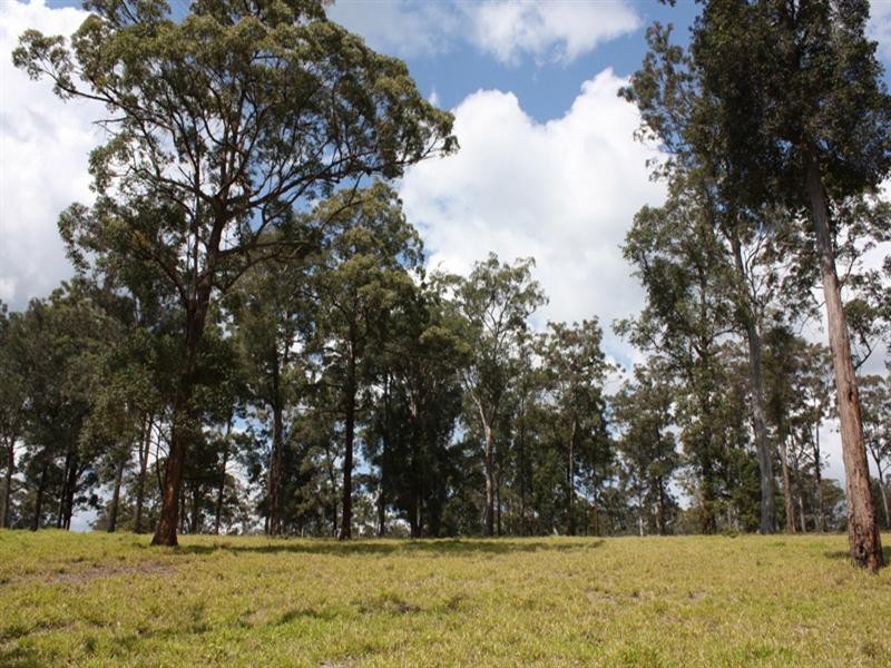 1 Tucker Lane, Canungra QLD 4275