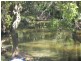 Allenview QLD 4285