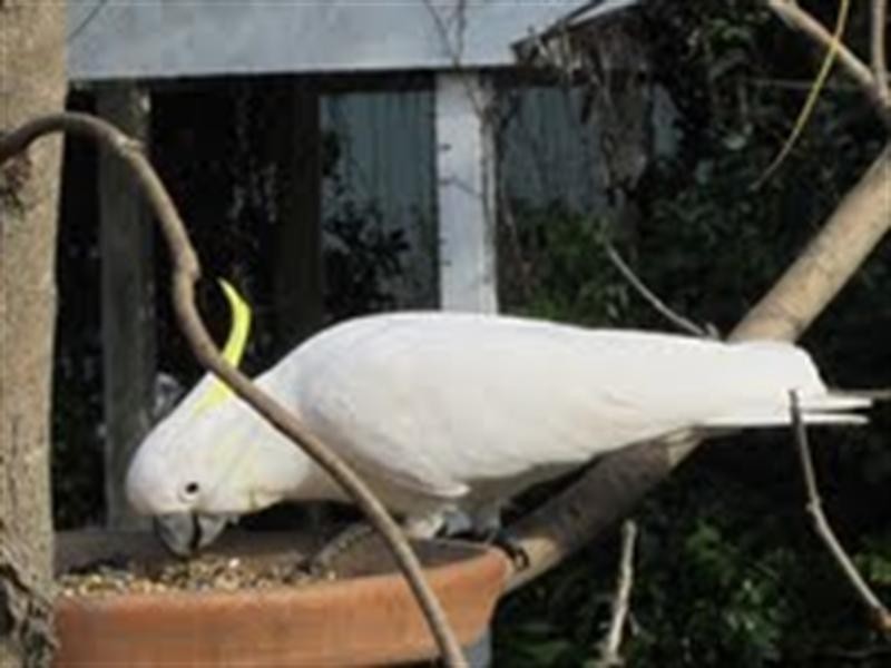 288 Cryna Road, Beaudesert QLD 4285